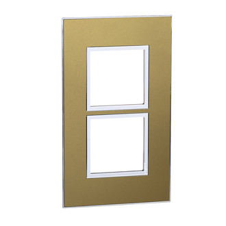 Plaque de recouvrement Arteor High End 2x1 Gold Brass