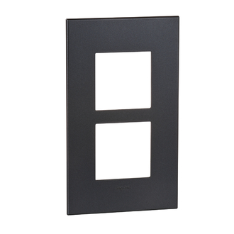 Plaque de recouvrement Arteor Basic 2x1 Graphite