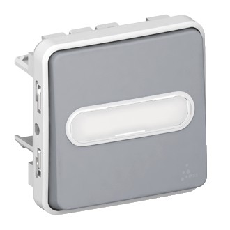 Poussoir de sonnerie AL IP55, gris, à voyant 12V